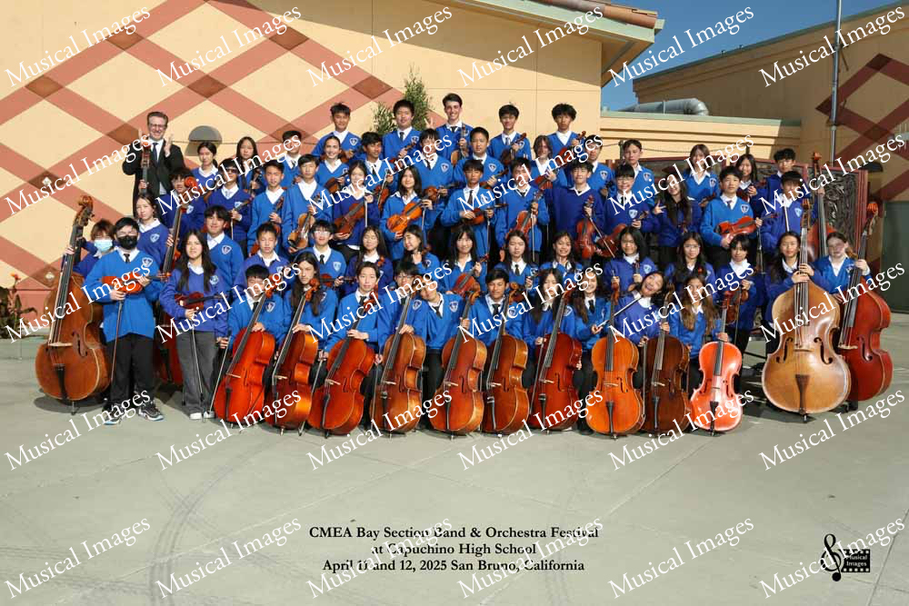 Musical Images